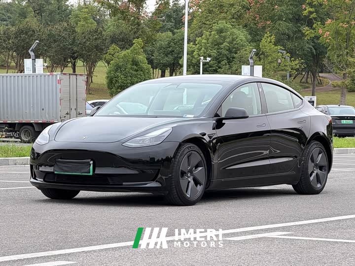 Tesla Model 3 Standard Range RWD Upgrade 3D6