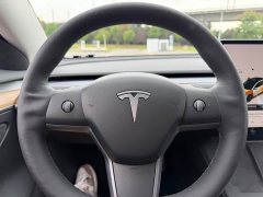 Tesla Model 3 Standard Range RWD Upgrade 3D6 - ფოტო 13