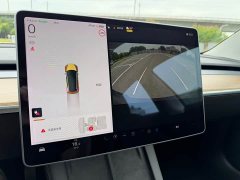 Tesla Model 3 Standard Range RWD Upgrade 3D6 - ფოტო 15