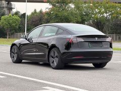 Tesla Model 3 Standard Range RWD Upgrade 3D6 - ფოტო 3
