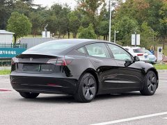 Tesla Model 3 Standard Range RWD Upgrade 3D6 - ფოტო 4