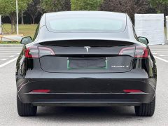 Tesla Model 3 Standard Range RWD Upgrade 3D6 - ფოტო 8