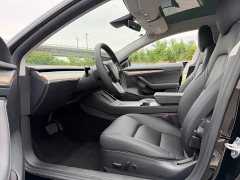 Tesla Model 3 Standard Range RWD Upgrade 3D6 - ფოტო 9