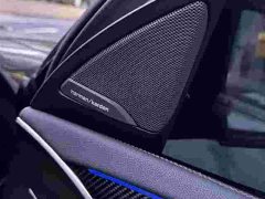 BMW X4 M X4 M Thunder Edition - ფოტო 9