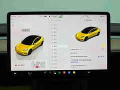 Tesla Model 3 Rear-Wheel Drive - ფოტო 18