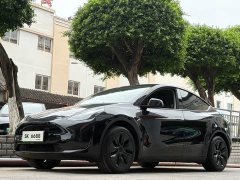 Tesla Model Y 2023 Rear-Wheel Drive - ფოტო 1