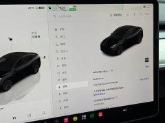 Tesla Model Y 2023 Rear-Wheel Drive - ფოტო 13