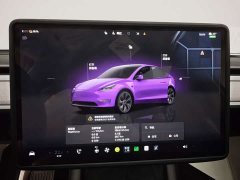 Tesla Model Y Rear-Wheel Drive - ფოტო 15
