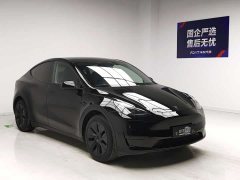 Tesla Model Y Rear-Wheel Drive - ფოტო 3