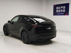 Tesla Model Y Rear-Wheel Drive - ფოტო 6