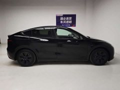 Tesla Model Y Rear-Wheel Drive - ფოტო 7