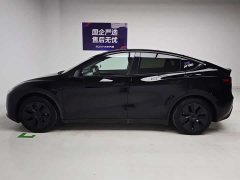 Tesla Model Y Rear-Wheel Drive - ფოტო 9