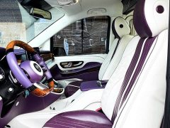 Mercedes-Benz V-Class V 260 L Long Wheelbase Luxury Edition - ფოტო 5