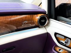 Mercedes-Benz V-Class V 260 L Long Wheelbase Luxury Edition - ფოტო 8