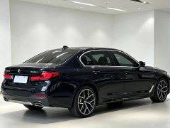 BMW 5 Series 530Li Luxury M Sport Package - ფოტო 9