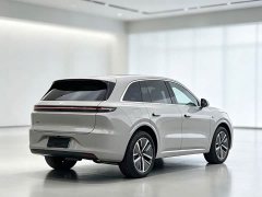 Li Auto L6 Pro - ფოტო 9