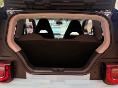 Chery QQ Ice Cream 2022 120km Sweet Cone LFP - ფოტო 11