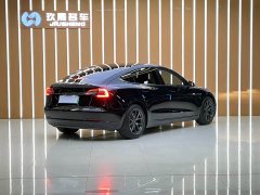 Tesla Model 3 2022 Rear-Wheel Drive - ფოტო 19