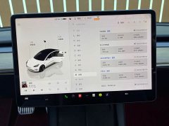 Tesla Model 3 2022 Rear-Wheel Drive - ფოტო 8