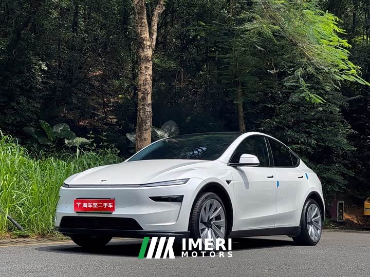 Tesla Model Y Rear-Wheel Drive