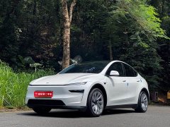 Tesla Model Y Rear-Wheel Drive - ფოტო 1