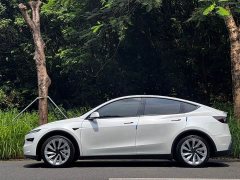 Tesla Model Y Rear-Wheel Drive - ფოტო 2