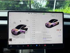 Tesla Model Y Rear-Wheel Drive - ფოტო 9