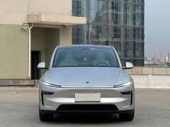 Tesla Model Y Rear-Wheel Drive - ფოტო 1