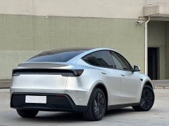 Tesla Model Y Rear-Wheel Drive - ფოტო 10