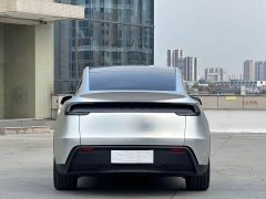 Tesla Model Y Rear-Wheel Drive - ფოტო 11