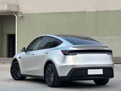 Tesla Model Y Rear-Wheel Drive - ფოტო 12