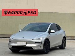 Tesla Model Y Rear-Wheel Drive - ფოტო 2