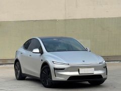 Tesla Model Y Rear-Wheel Drive - ფოტო 3