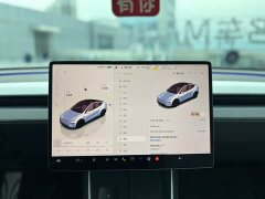 Tesla Model Y Rear-Wheel Drive - ფოტო 8