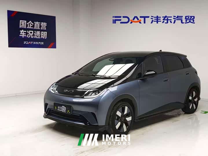 BYD Dolphin 401km Knight Edition