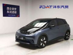 BYD Dolphin 401km Knight Edition - ფოტო 1