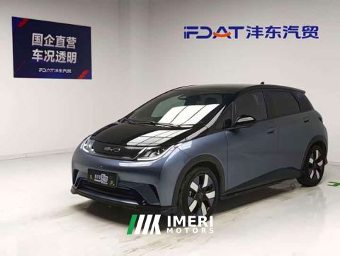 2023 BYD Dolphin 401km Knight Edition