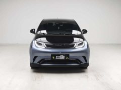 BYD Dolphin 401km Knight Edition - ფოტო 2