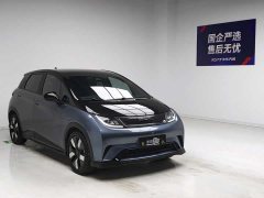 BYD Dolphin 401km Knight Edition - ფოტო 3
