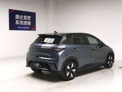 BYD Dolphin 401km Knight Edition - ფოტო 4