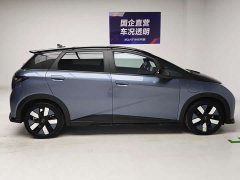 BYD Dolphin 401km Knight Edition - ფოტო 7