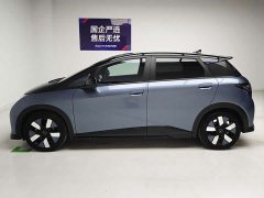 BYD Dolphin 401km Knight Edition - ფოტო 9