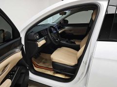 BYD Song Pro New Energy 2nd Gen DM-i 75KM Leading Edition - ფოტო 13