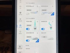 XPeng P5 460E - ფოტო 14