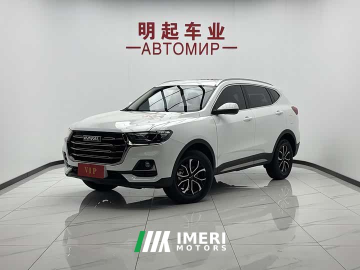 Haval H6 2021 National Trend Edition 1.5T Automatic Urban Version - ავტომობილი ჩინეთიდან