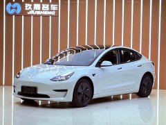 Tesla Model 3 Standard Range RWD Upgrade 3D6 - ფოტო 1