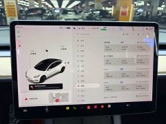 Tesla Model 3 Standard Range RWD Upgrade 3D6 - ფოტო 10