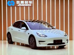 Tesla Model 3 Standard Range RWD Upgrade 3D6 - ფოტო 3