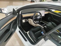 Tesla Model 3 Standard Range RWD Upgrade 3D6 - ფოტო 4