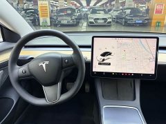 Tesla Model 3 Standard Range RWD Upgrade 3D6 - ფოტო 7